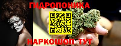 ECSTASY Будённовск