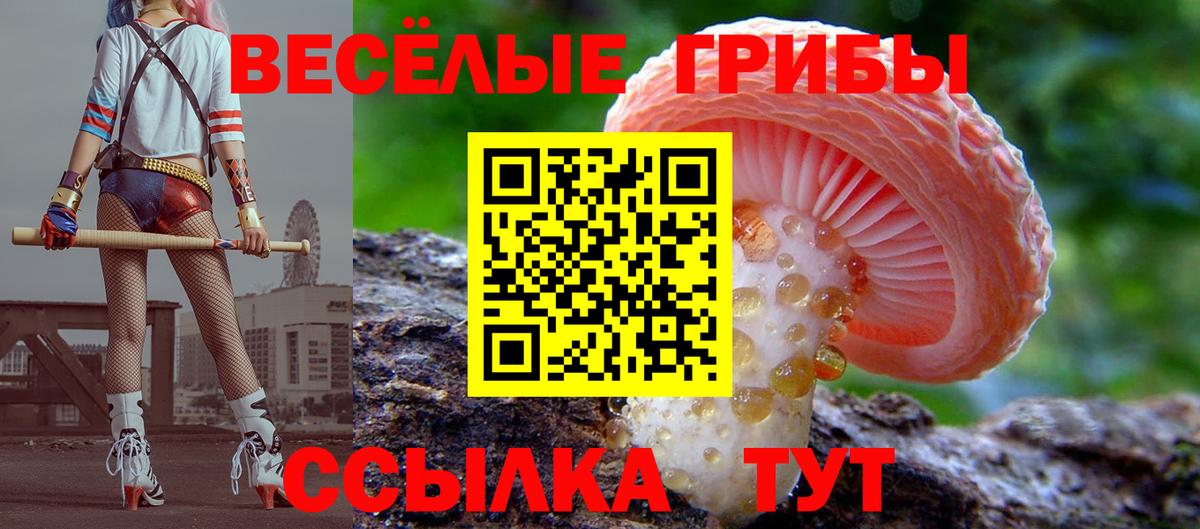 Новочебоксарск  Псилоцибиновые грибы прущие грибы  Галлюциногенные грибы мицелий  Вход с VPN 