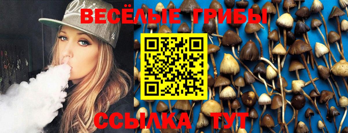 Псилоцибиновые грибы мухоморы Новочебоксарск